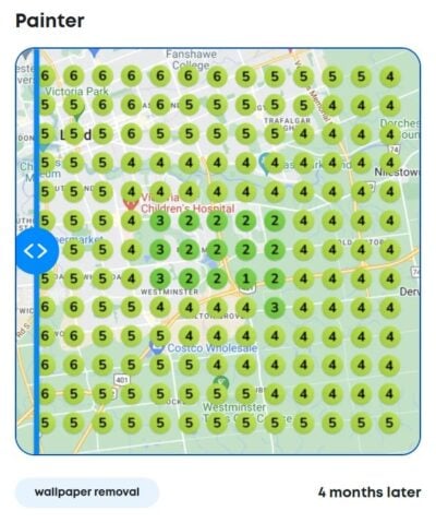 Painter local SEO heatmap success after 4 months