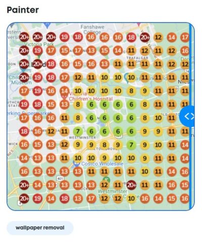 Painter local SEO heatmap success before FlowPilot