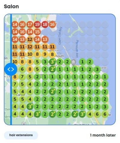 Salon local SEO heatmap success after 1 month