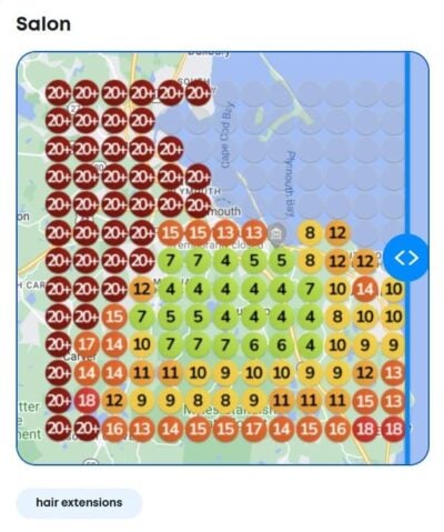 Salon local SEO heatmap success before FlowPilot