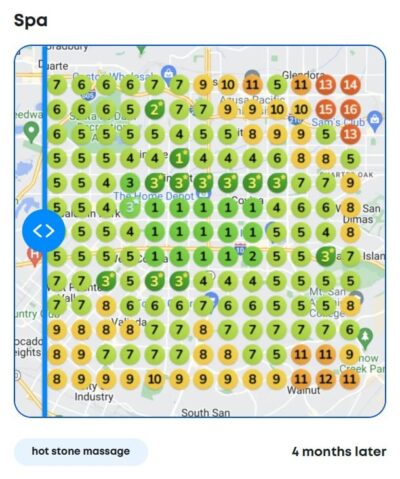 Spa local SEO success heatmap after 4 months