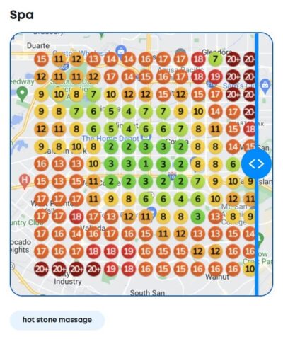 Spa local SEO success heatmap before FlowPilot